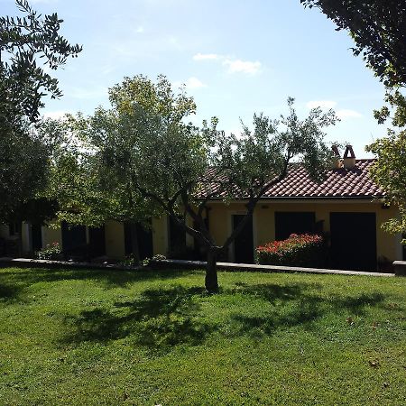 Agriturismo La Vite E Gli Ulivi Villa Ariccia Exterior photo