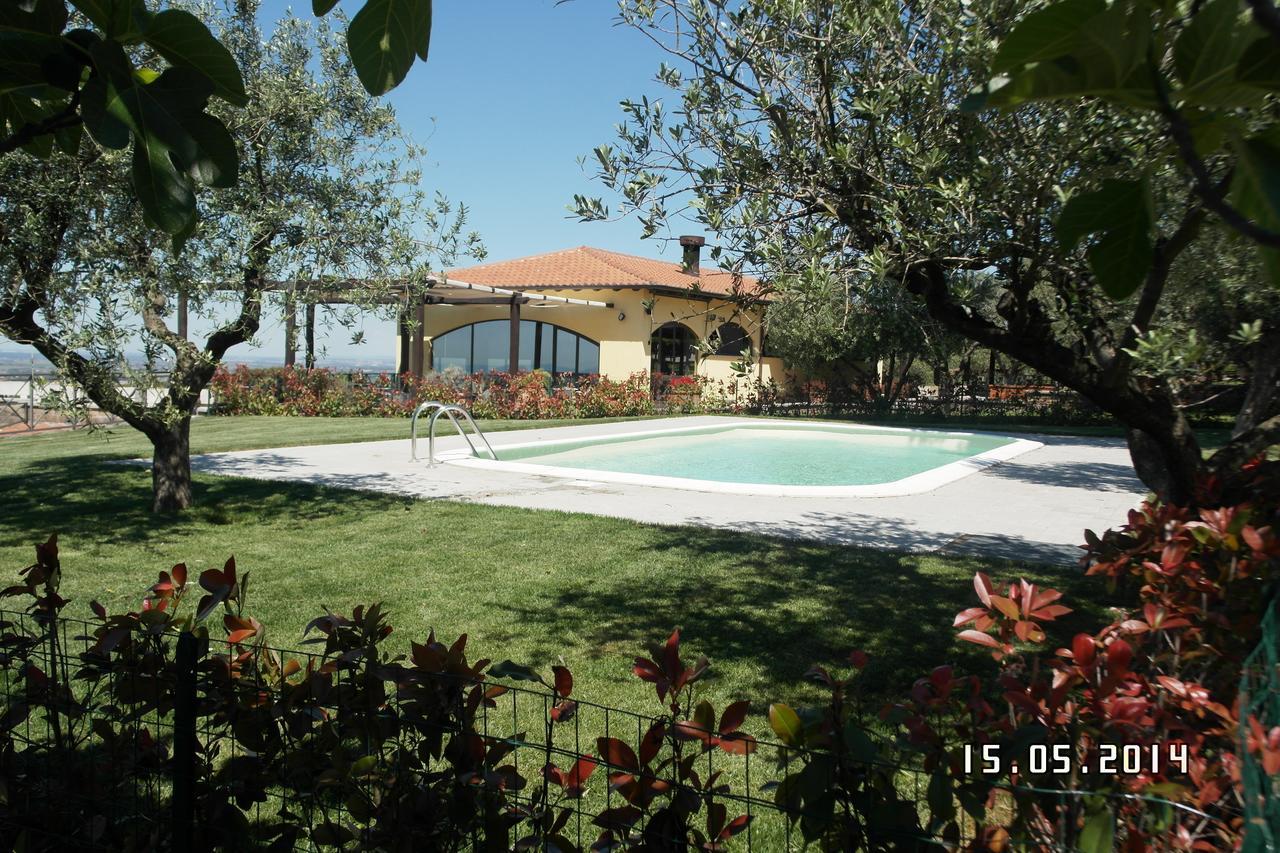 Agriturismo La Vite E Gli Ulivi Villa Ariccia Exterior photo
