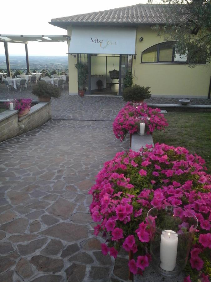 Agriturismo La Vite E Gli Ulivi Villa Ariccia Exterior photo