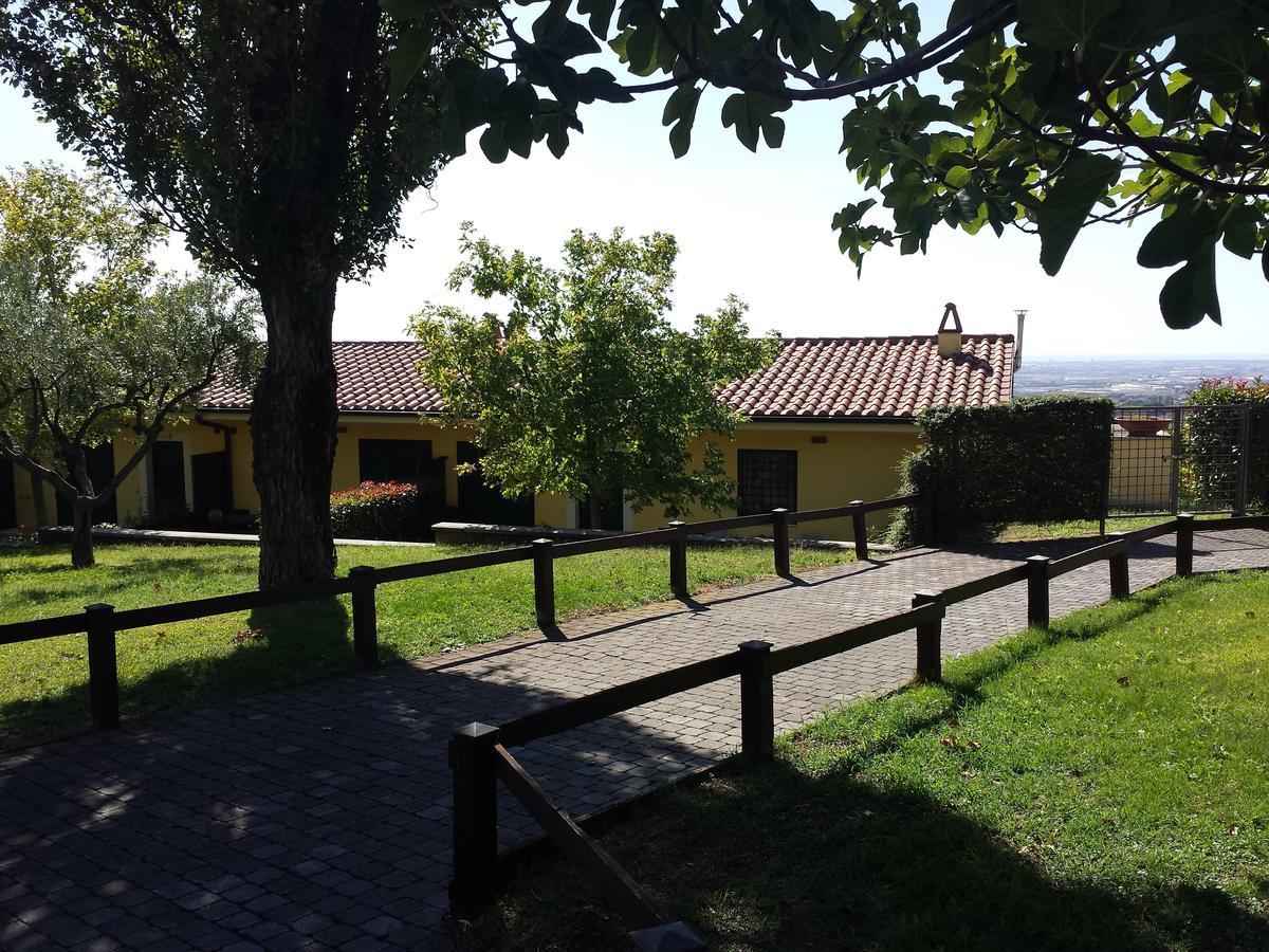 Agriturismo La Vite E Gli Ulivi Villa Ariccia Exterior photo